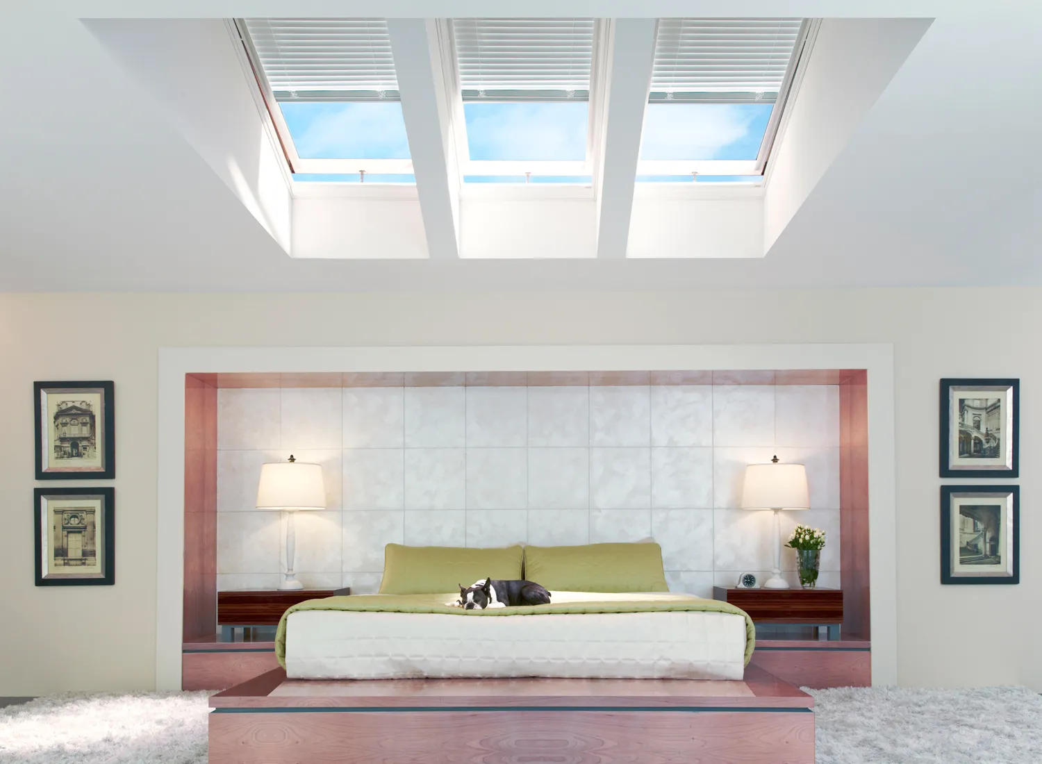 Skylights: Choosing Between Flat and Dome Designs
