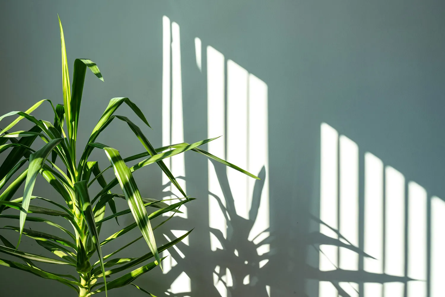 Daylight in Real Time