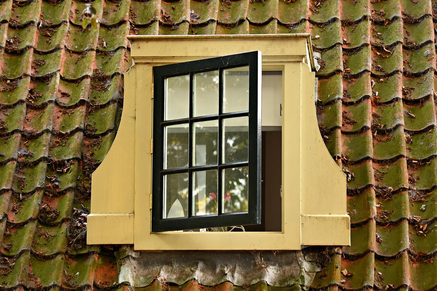 Roof Access Windows: Maximum Convenience and Safety