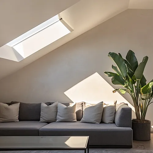 Skylights and the Birth of New York Loft Culture