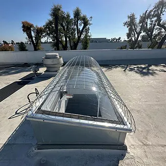 Commercial Skylight
